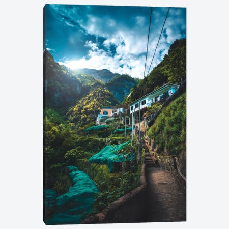 Into The Jungle Canvas Print #ZDO62} by Zach Doehler Canvas Wall Art