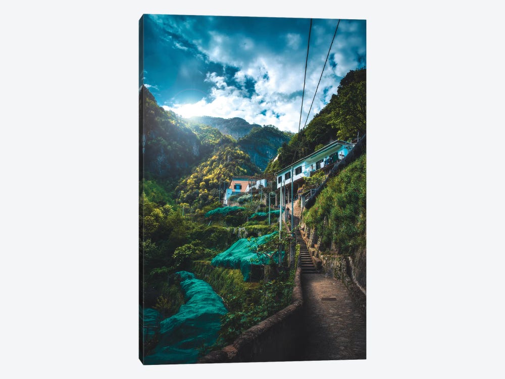 Into The Jungle by Zach Doehler 1-piece Canvas Wall Art