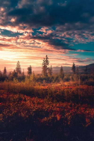 Mountain Sunrises & Sunsets: Ablaze by Zach Doehler