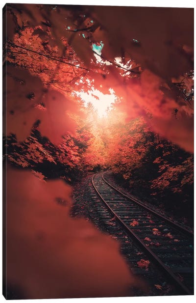 Autumn Express Canvas Art Print - Atmospheric Photography