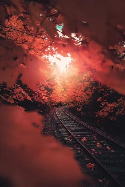 Atmospheric Photography: Autumn Express by Zach Doehler