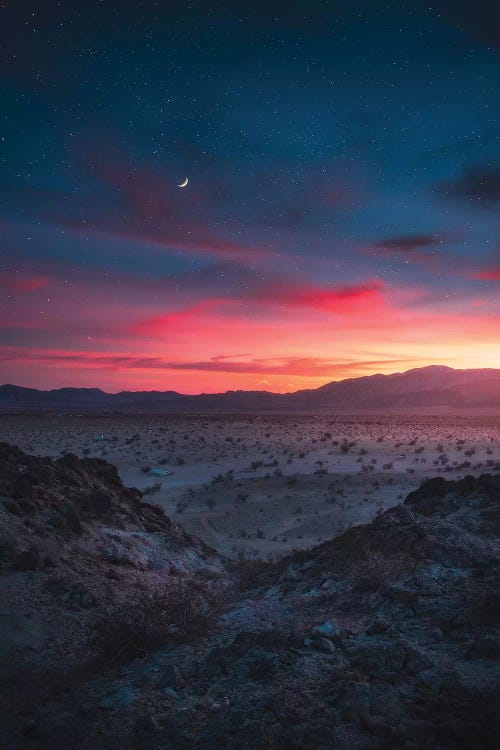 Desert Dreams