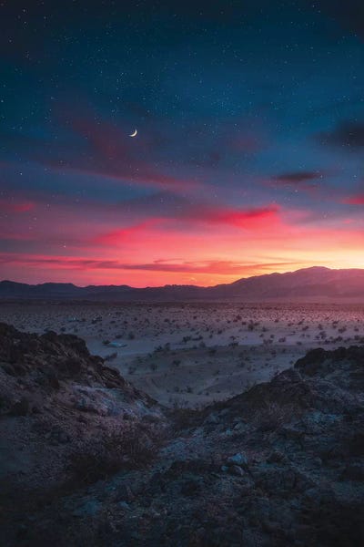 Desert Dreams