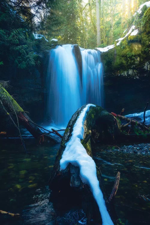 Finding Peace In The Chaos by Zach Doehler wall art