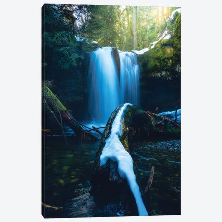 Finding Peace In The Chaos Canvas Print #ZDO70} by Zach Doehler Art Print