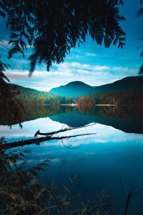 Framed By Nature