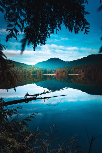 Framed By Nature