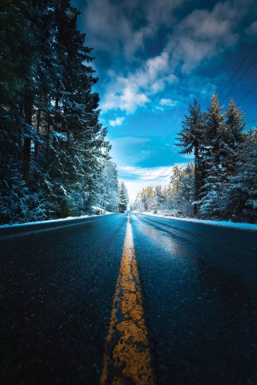 Frozen Roads