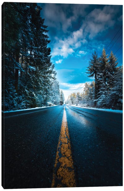 Frozen Roads Canvas Art Print