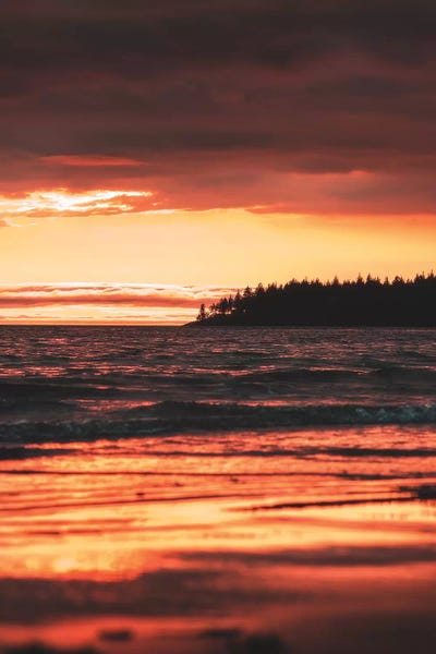 Rose Gold by Zach Doehler framed wall art