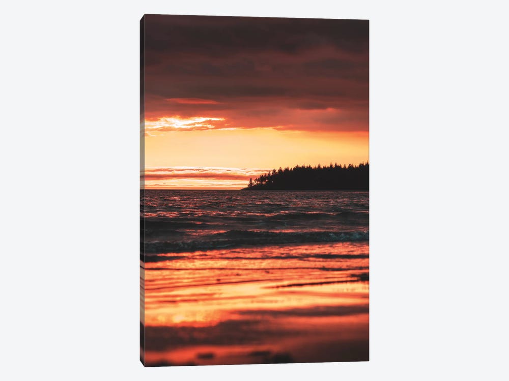 Rose Gold by Zach Doehler 1-piece Canvas Wall Art
