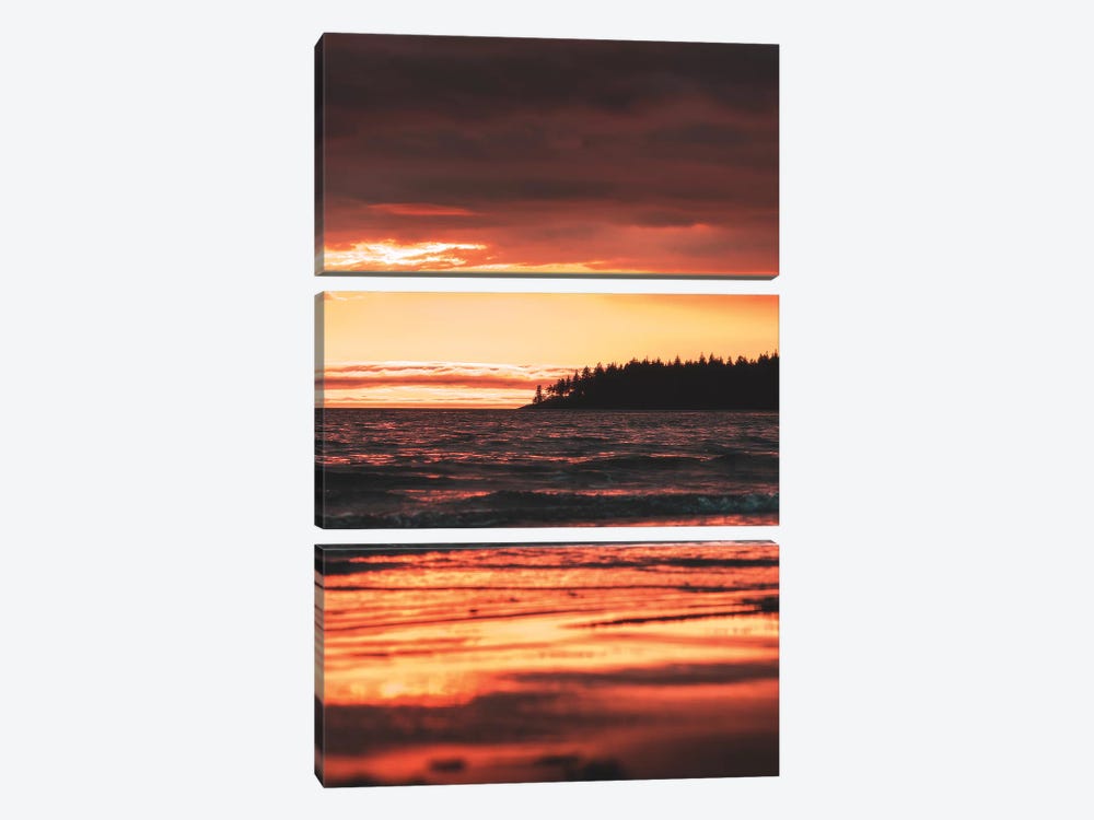 Rose Gold by Zach Doehler 3-piece Canvas Wall Art