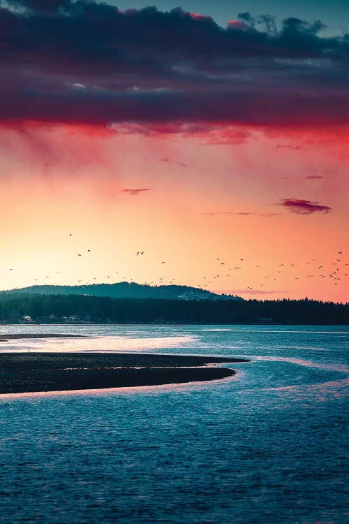 Take Flight by Zach Doehler wall art