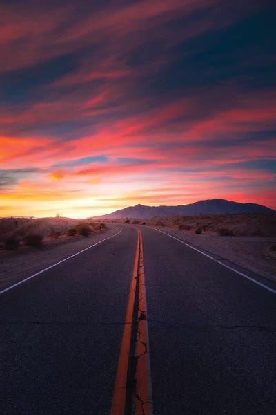 The Highway Of Colours