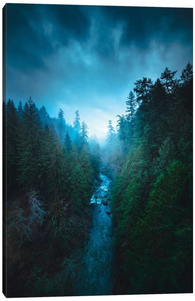 The River Of Light Canvas Art Print - Evergreen Tree Art