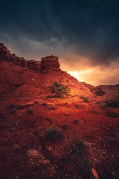 Desolation by Zach Doehler framed wall art