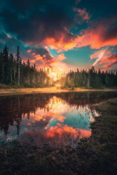 Enlighten by Zach Doehler framed wall art