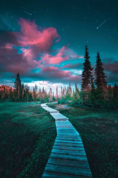 Intergalactic Pathways