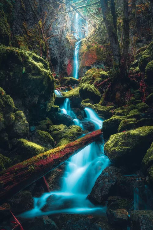 Tucked Away