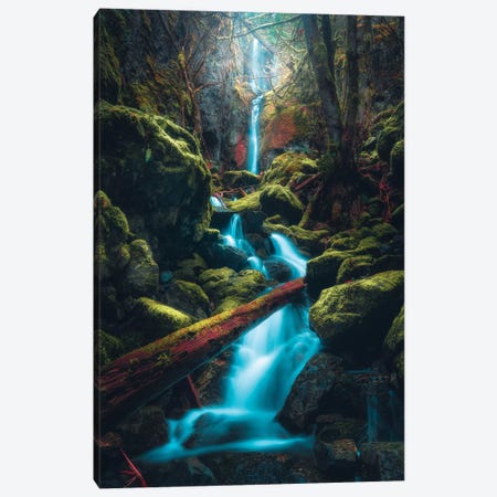 Tucked Away Canvas Print #ZDO95} by Zach Doehler Canvas Wall Art