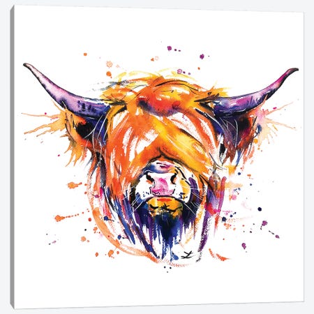 Scottish Highland Cow Canvas Print #ZDZ100} by Zaira Dzhaubaeva Canvas Art