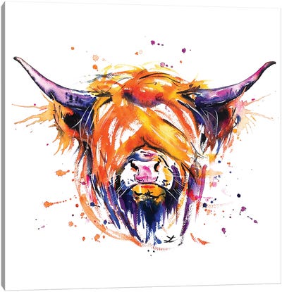 Scottish Highland Cow Canvas Art Print - Zaira Dzhaubaeva