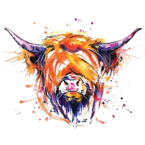 Zaira Dzhaubaeva: Scottish Highland Cow by Zaira Dzhaubaeva