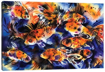 Shubunkin Goldfish Canvas Art Print - Zaira Dzhaubaeva