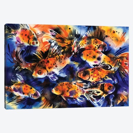 Shubunkin Goldfish Canvas Print #ZDZ102} by Zaira Dzhaubaeva Canvas Artwork