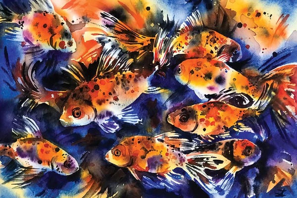 Goldfish: Shubunkin Goldfish by Zaira Dzhaubaeva