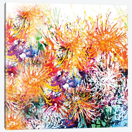 Sunny Chrysanthemums Canvas Print #ZDZ108} by Zaira Dzhaubaeva Canvas Art