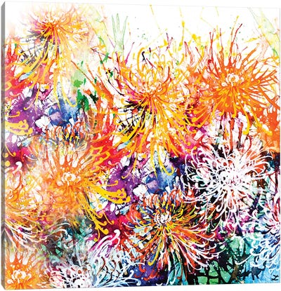 Sunny Chrysanthemums Canvas Art Print - Chrysanthemum Art
