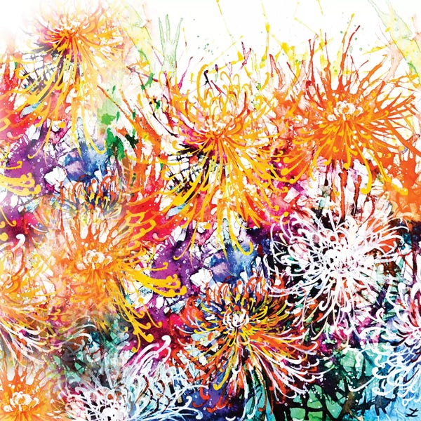 Zaira Dzhaubaeva: Sunny Chrysanthemums by Zaira Dzhaubaeva