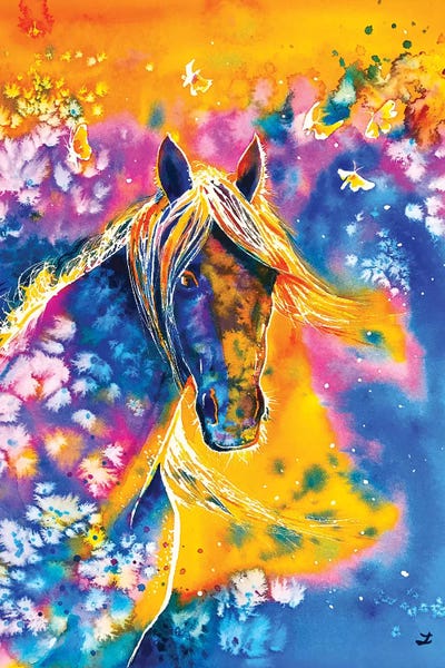 Sunset Mustang by Zaira Dzhaubaeva canvas print