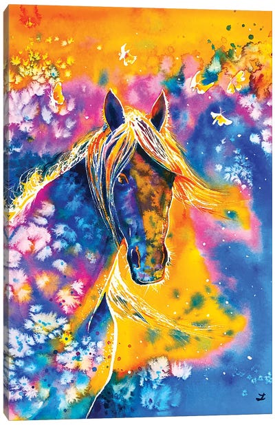 Sunset Mustang Canvas Art Print - Zaira Dzhaubaeva