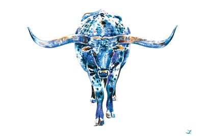 Texas Longhorn by Zaira Dzhaubaeva gallery poster