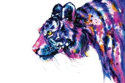 Tiger Glance by Zaira Dzhaubaeva canvas print