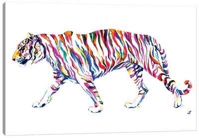 Walking Tiger Canvas Art Print - Zaira Dzhaubaeva