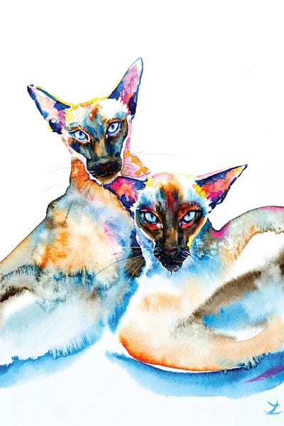 Siamese: We Are Siamese by Zaira Dzhaubaeva