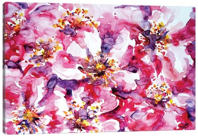 Wild Rose Canvas Art Print - Zaira Dzhaubaeva