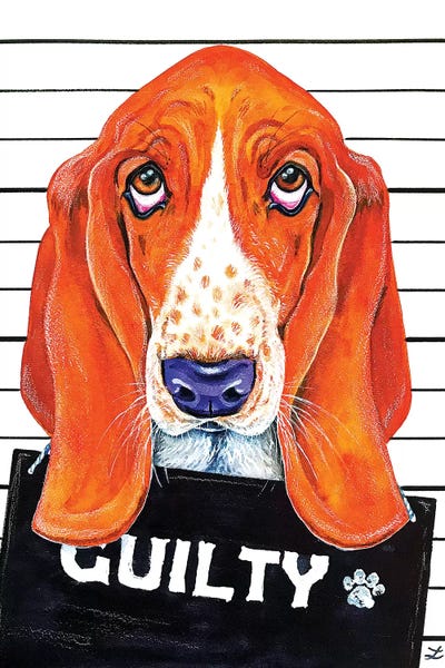 Basset Hounds: Basset Hound Mugshot   by Zaira Dzhaubaeva