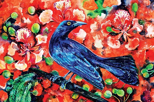 Zaira Dzhaubaeva: Chango on the Flamboyant Tree Watercolor   by Zaira Dzhaubaeva
