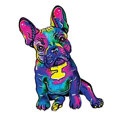 Colorful French Bulldog Canvas Art Print | Zaira Dzhaubaeva | iCanvas
