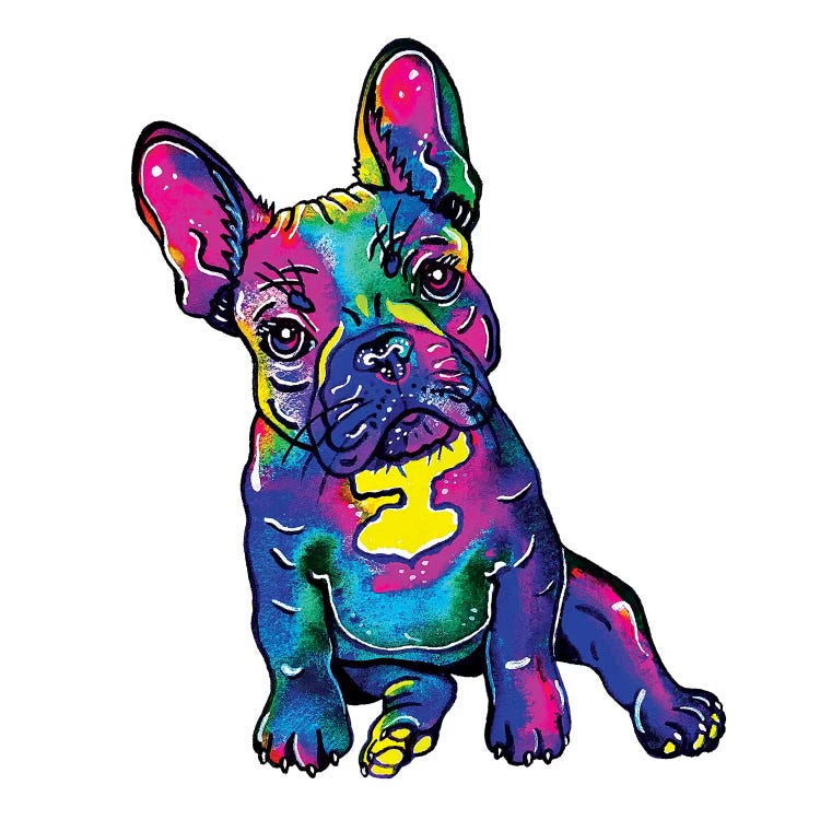 Colorful French Bulldog 