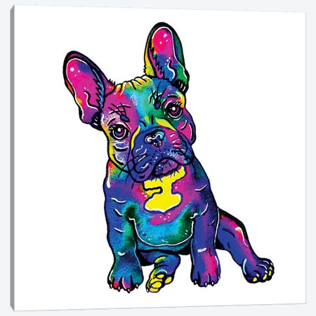 Colorful French Bulldog  Canvas Print #ZDZ139} by Zaira Dzhaubaeva Art Print