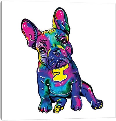 Colorful French Bulldog  Canvas Art Print - French Bulldog Art