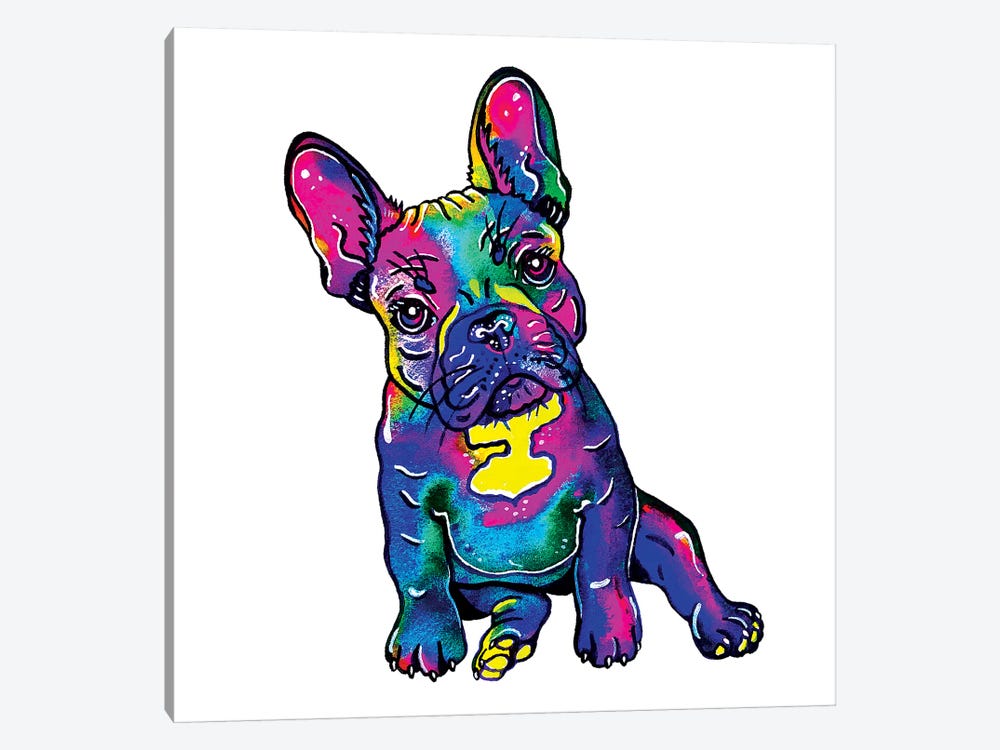 Colorful French Bulldog  by Zaira Dzhaubaeva 1-piece Canvas Print