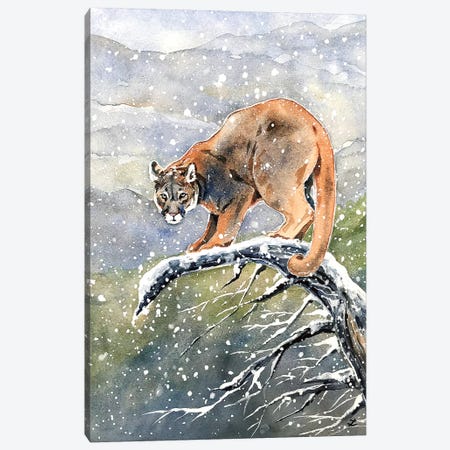 Cougar Watercolor  Canvas Print #ZDZ140} by Zaira Dzhaubaeva Canvas Artwork