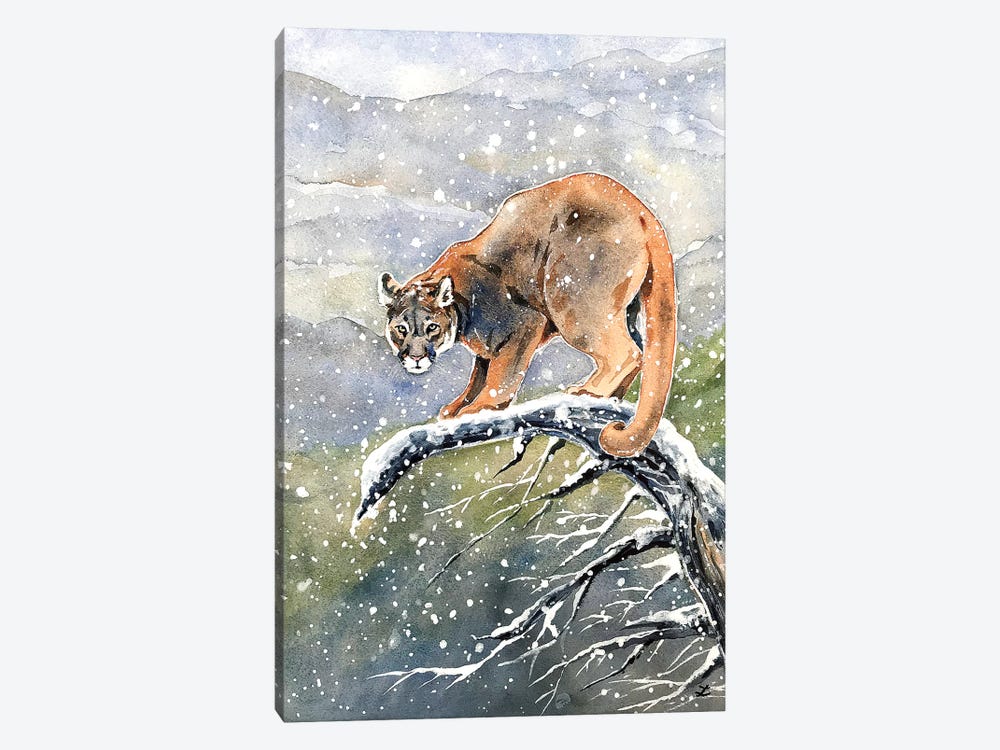 Cougar Watercolor  by Zaira Dzhaubaeva 1-piece Art Print
