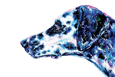 Dalmatian Watercolor   by Zaira Dzhaubaeva metal wall art